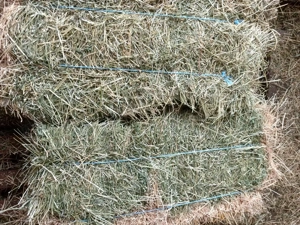 baloti fân , trifoi cu iarba si paie 