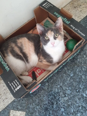 Dorim...o schimbare...de domiciliu!