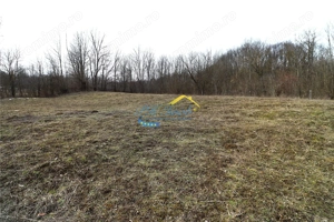 Teren Intravilan de vanzare, Provita de Sus - imagine 4