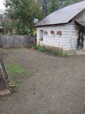 Oportunitate în Saschiz! Casă 67mp + construcție secundară | 4 ari teren | Potențial extindere - imagine 2