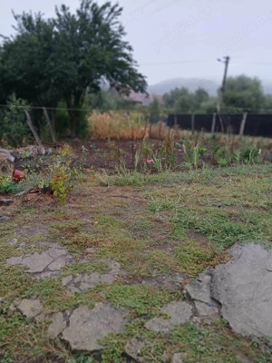 Oportunitate în Saschiz! Casă 67mp + construcție secundară | 4 ari teren | Potențial extindere - imagine 7