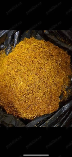 Tutun de Fabrica  - imagine 2