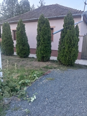Vând casa comuna Dorobanți  - imagine 8