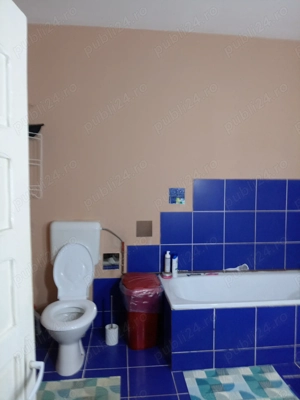 Vând casa comuna Dorobanți 