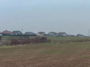 teren de vanzare livada bihor - imagine 2