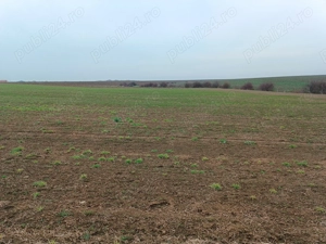 teren de vanzare livada bihor - imagine 4