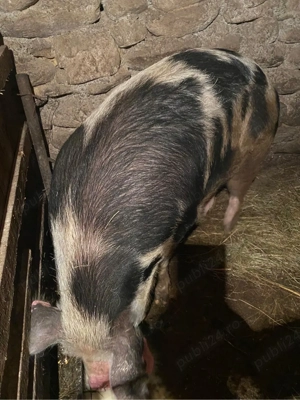 de vanzare - imagine 3