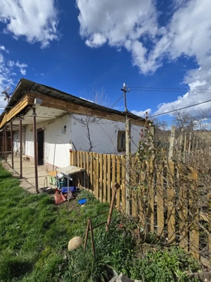Herneacova-Casa si Teren-Livada- 2876 mp- Front 37m
