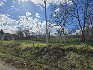 Herneacova-Casa si Teren-Livada- 2876 mp- Front 37m - imagine 2
