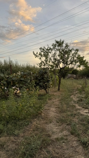 Teren intravilan Targu-Jiu, Iezureni 2550m2 - imagine 2