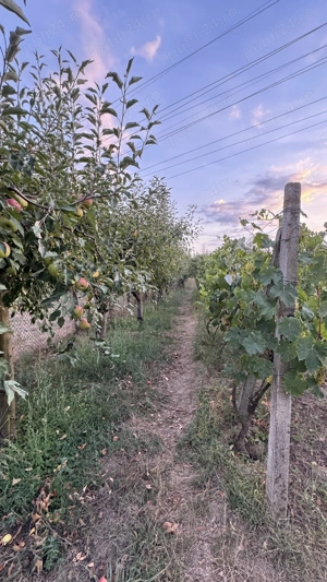 Teren intravilan Targu-Jiu, Iezureni 2550m2 - imagine 6