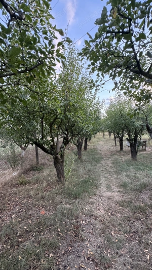 Teren intravilan Targu-Jiu, Iezureni 2550m2 - imagine 8