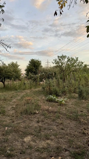 Teren intravilan Targu-Jiu, Iezureni 2550m2 - imagine 5