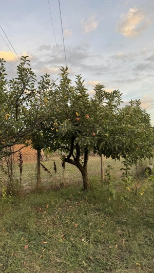 Teren intravilan Targu-Jiu, Iezureni 2550m2 - imagine 4