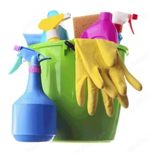 Servicii  menajera  la domiciliu