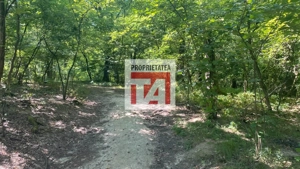 Padure Lapusel 48 ari - imagine 2