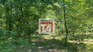 Padure Lapusel 48 ari