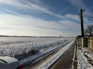 teren de vanzare magurele proprietar  - imagine 3