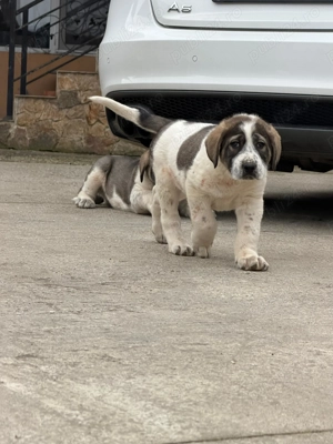 Asia Centrala - imagine 2