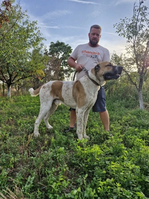 Asia Centrala - imagine 4