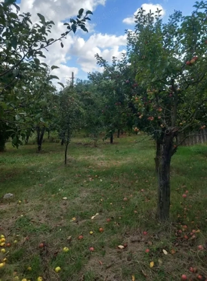 Casa de vânzare în Dracsani județul Botoșani  - imagine 3