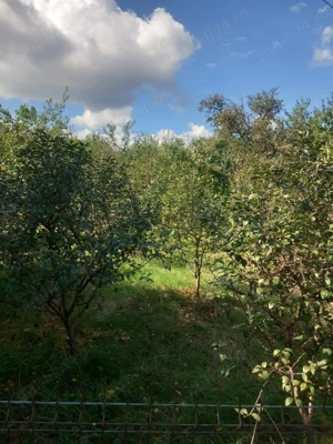 Casa de vânzare în Dracsani județul Botoșani  - imagine 5