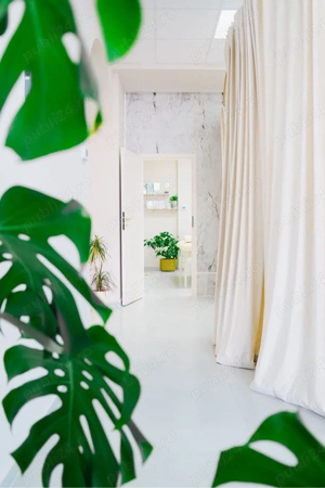 Post Coafor - imagine 4