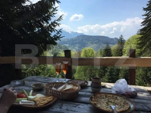 Complex turistic eco-integrat – Predeal (Trei Brazi) - imagine 2