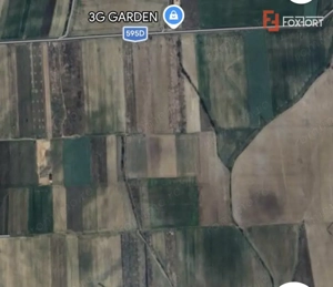 Teren extravilan de 6300 mp - Mosnita Veche