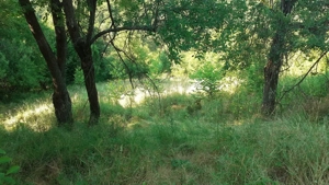 Roscani-Dobra-Teren Cabana-10km A1-Posibilitate Rate