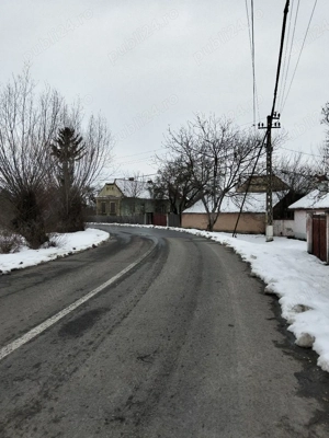 fa orice pentru bani 