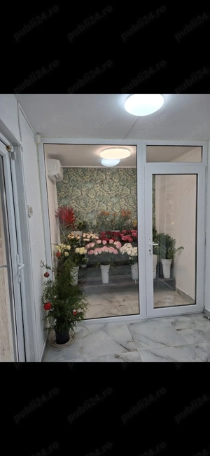 Panou din termopan cu sticla si usa de acces.