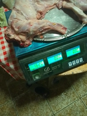 ouă bio  pentru consum  rață si găină +iepure