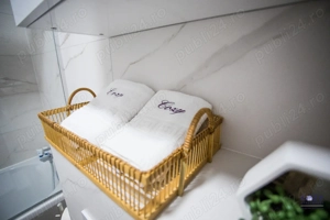 Cazare adora park regim hotelier Cozy Luxury Apartments  - imagine 3