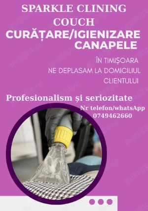 curățare igienizare canapele