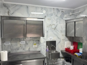 Vila P+1 de zona Brancoveanu - imagine 6