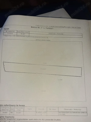 Teren de vanzare - Valu lui Traian - 9200 m2 - INTRAVILAN