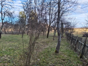 Teren casă cabană - imagine 3