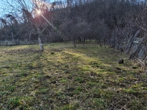 Teren casă cabană - imagine 4