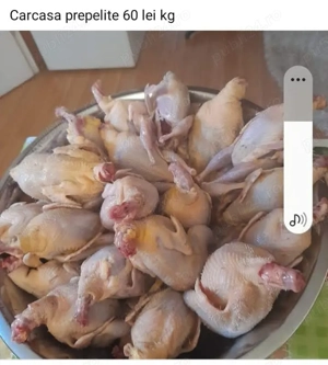 prepelite si oua  - imagine 3