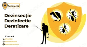 Dezinsectie,Deratizare Plosnite, Gandaci 