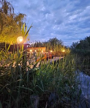 Ily Agrofesta angajează ajutor de bucătar rog seriozitate 