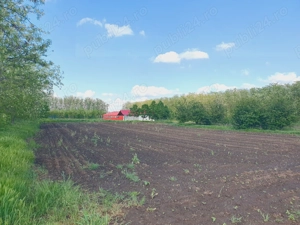Vand ferma la 100 de km de Bucuresti. Reducere de la 60000 la 39000! - imagine 2