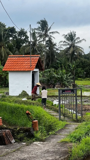 Engleza gratis, prima lectie