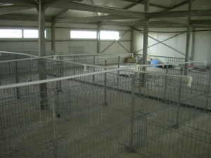 Vand ferma la 100 de km de Bucuresti. Reducere de la 60000 la 39000! - imagine 6