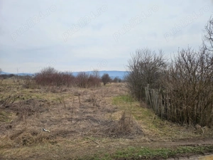 Particular, vand teren intravilan 3348 mp pe malul Oltului - imagine 2