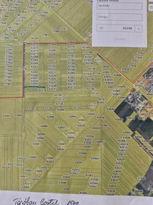  Vânzare teren extravilan Giurgiu