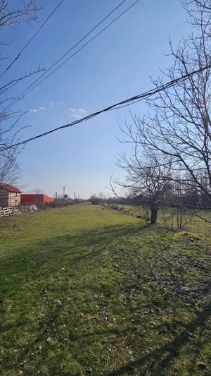 Baicoi -Tufeni, intravilan 6076 mp,2 deschideri - 55000 euro - imagine 12
