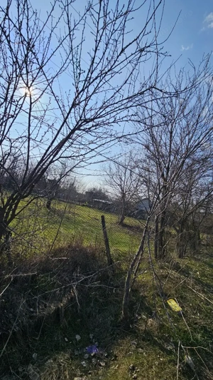 Baicoi -Tufeni, intravilan 6076 mp,2 deschideri - 55000 euro - imagine 6