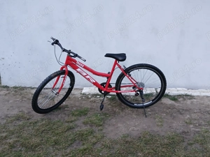 Bicicleta BR Diana 